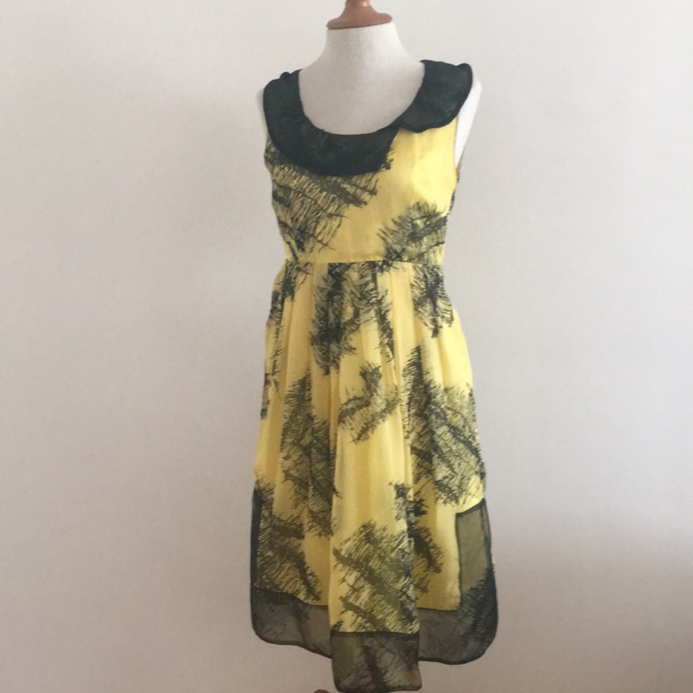 Anna Sui Silk Chiffon Dress